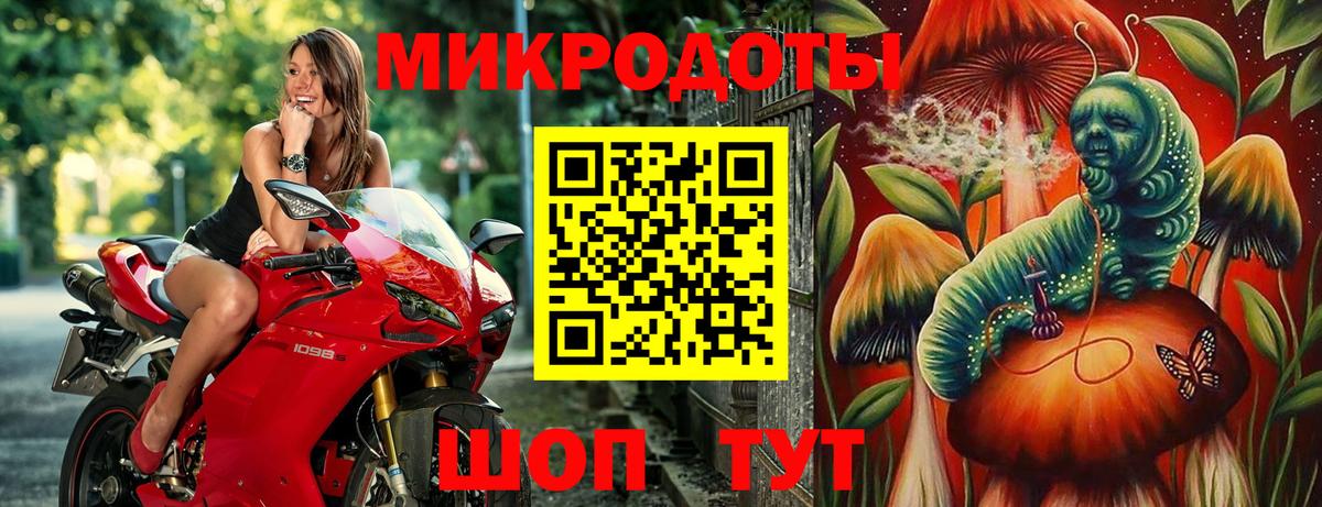 Псилоцибиновые грибы GOLDEN TEACHER Геленджик