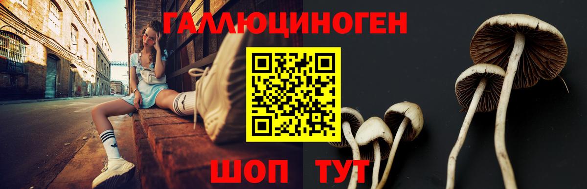 Галлюциногенные грибы прущие грибы  Вход с VPN  Геленджик 